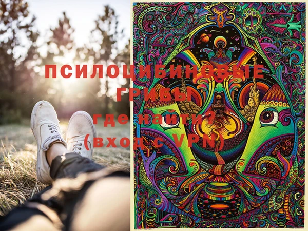 гидра Абинск