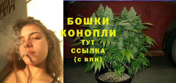 бошки Алзамай