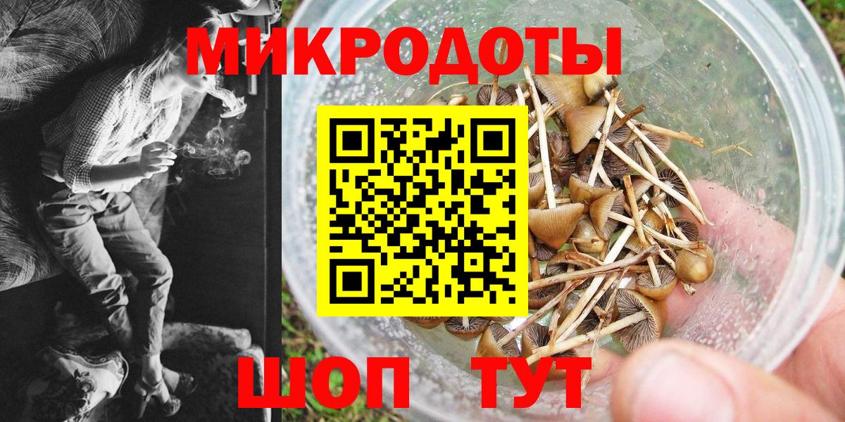 Галлюциногенные грибы Psilocybine cubensis  Вход с VPN  Галлюциногенные грибы прущие грибы  Заводоуковск 